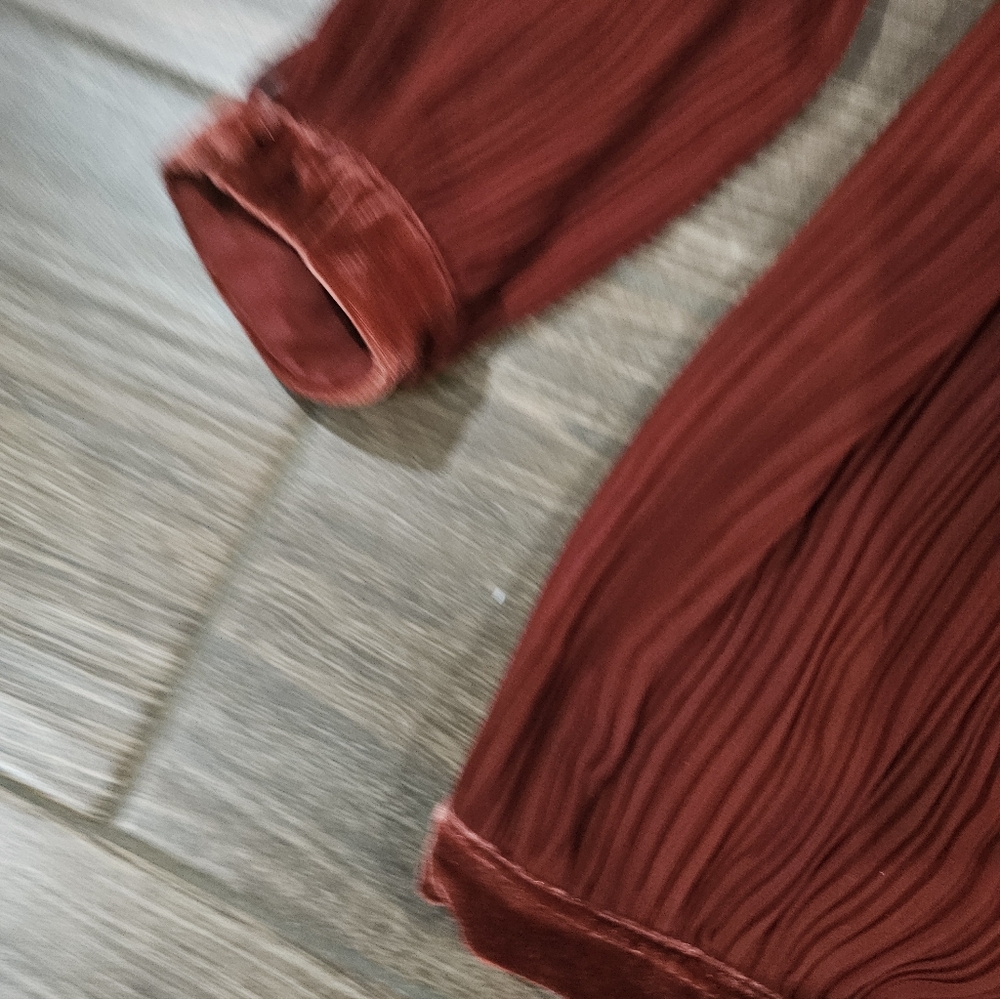 Free People Bohemian Peasant Sheer Pleated Velvet Trim Blouse Top Sz L - Picture 3 of 4